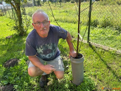 „Nie jestem hodowcą bobrów!”. 69-latek z gminy Jonkowo ma dość nieproszonego gościa i czuje się bezsilny wobec prawa