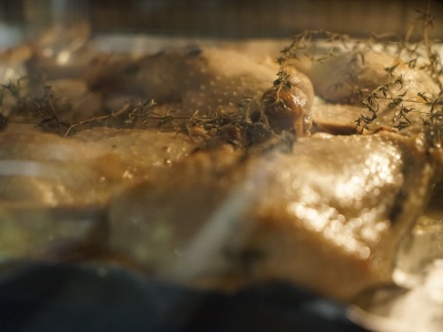 Gęsina na świętego Marcina, ale nie tylko