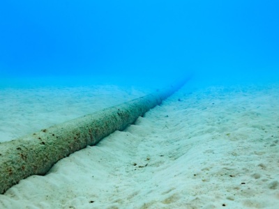 Bez tego sztuczna inteligencja się nie rozwinie. Giganci wykładają miliardy na podmorskie kable