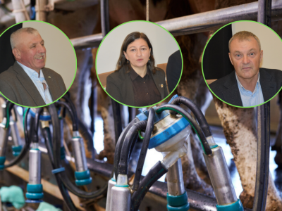 Rolnicy wybierają tańszą ocenę mleczną i zyskują dopłaty. E-OCENA rośnie w siłę