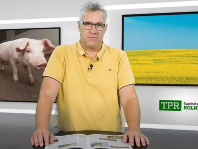 Ceny mleka i zbóż odbiją? Nadchodzą zmiany na rynku