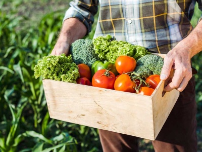 Uciekać z domu wariatów! Samozbiory opodatkowane