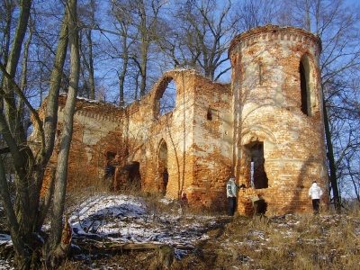 Zamek na środku jeziora w Wielkopolsce. Miał być miejscem szczęścia, zostały tylko ruiny