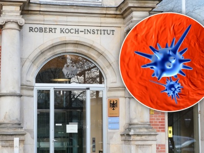 Dzikiego wirusa wykryto tuż za polską granicą. Europa miała być od niego wolna