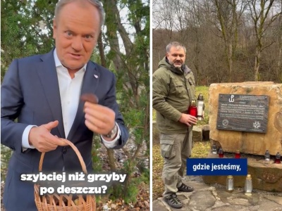 Żurek 11 listopada wystroił się jak do rąbania drewna, a Tusk w garniturze zbiera grzyby. Kto im tak doradza?
