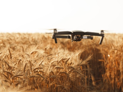 Stwórzmy polską DARPĘ. Dlaczego potrzebujemy Agencji Innowacji Obronnych?