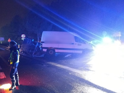 DK 16. Wypadek pod Ostródą. W zdarzeniu poszkodowana m.in. 14-latka oraz psy