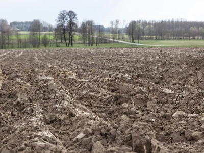 Jak kształtowały się ceny ziemi w Polsce 2025? Zależnie od województwa, stawki są dość mocno zróżnicowane