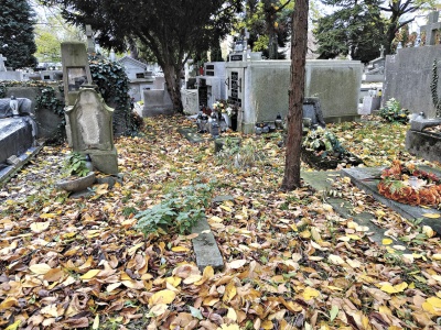 Jak usprawnić porządki na cmentarzach? Mogą pomóc więźniowie…