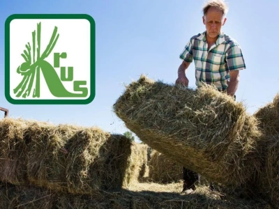 Rolnicy mogą dopłacić brakujące składki emerytalne? KRUS wyjaśnia