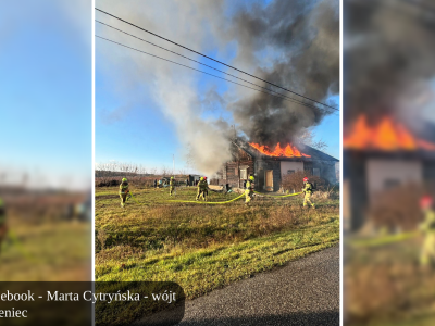 Pożar domu w Ignacowie. Ewakuowano mieszkańców i zwierzęta