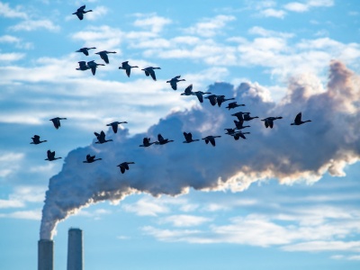 Katastroficzna wizja zmian klimatu coraz bardziej realna. Dwa scenariusze