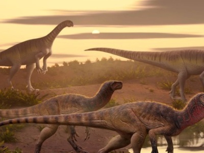 Ten dinozaur przetrwał wielkie wymieranie. To pomost między światami