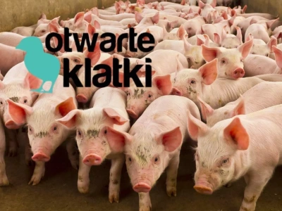 Rolnicy mają dość. Apel do Sejmu o zatrzymanie „antyrolniczych działań”