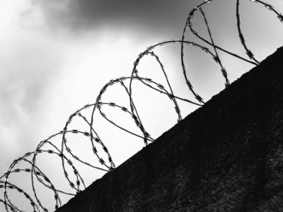 Makabryczna  śmierć Timo! Zapadł wyrok w sprawie psa powieszonego na wózku widłowym