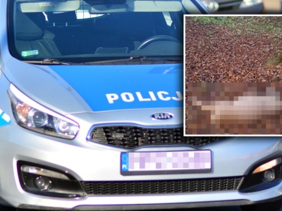 Szedł przez wieś z martwą sarną na plecach. 