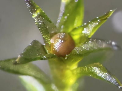 Przetrwały 9 miesięcy w kosmicznej pustce. Wyniki szokują