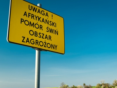 Sejm za poprawkami Senatu do ustawy o zdrowiu zwierząt