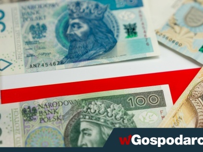 Nowa instytucja od 2026 r. Czym się zajmie Rada Fiskalna?