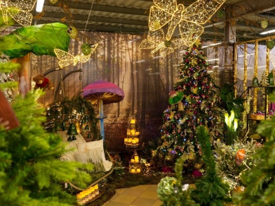 Świąteczna Wystawa Bożego Narodzenia 2025 w Centrum Ogrodniczym Szarotka