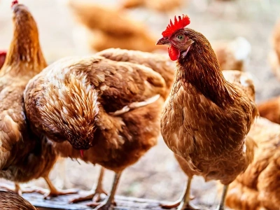 Ograniczenia w 20 powiatach i 3 miastach na Mazowszu. Decyzja wojewody