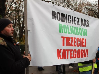 KE przygotowuje nowy pakiet regulacyjny. Czy doprowadzi on do likwidacji jednej z upraw?