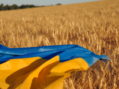 Przystąpienie Ukrainy do UE zagrożeniem czy szansą dla polskiego rolnictwa?