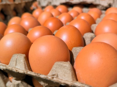 Polska branża ma swoją wielką szansę. Nadchodzi dekada gigantycznych zmian