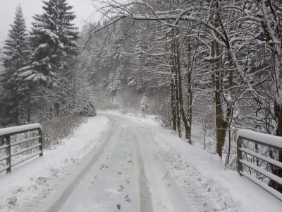 Pracowita noc dla służb w sądeckim i gorlickim. Śnieg głównym powodem wezwań