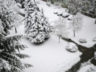 Pół tysiąca interwencji strażaków. Atak zimy na Podkarpaciu