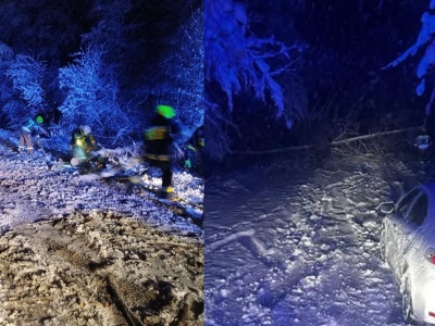Podkarpacie: Śnieg łamie drzewa i zrywa linie. Strażacy i energetycy w akcji