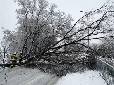 Sądecczyzna pod naporem śnieżycy. Blisko 70 interwencji strażaków i kolejne alerty pogodowe