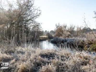 Zimny poranek w regionie. Szron i szadź stworzyły bajkowy krajobraz