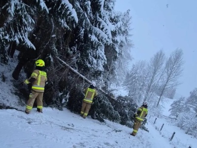Atak zimy na Podkarpaciu: 75 tys. domów bez prądu, niemal 800 interwencji strażaków