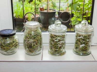 ​Działa lepiej niż apteczne syropy na kaszel. Mama i babcia robiły co roku