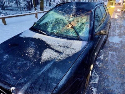 Drzewo pod ciężarem śniegu spadło na samochód osobowy