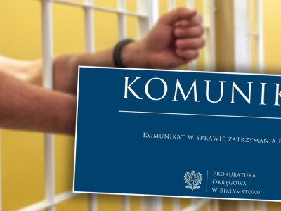 12-latka ofiarą pedofila. Wstrząsający komunikat prokuratury. Ofiar może być więcej