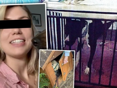 Głodzone i trzymane w ciasnych klatkach. Znana influencerka z Poznania oskarżona o znęcanie się nad psami