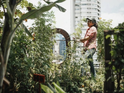 Warzywniak na dachu: czy urban farming uratuje planetę?