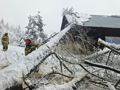 Atak zimy. Na Podkarpaciu ponad 100 tysięcy odbiorców bez prądu!