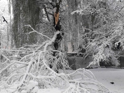 Zima w natarciu! Tysiące domów bez prądu. Jest apel służb