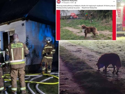 Mieszkańcy pomagają psu z tragicznego pożaru 