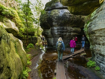 Na te szlaki wejdziesz teraz za darmo. Park Narodowy wydał oświadczenie