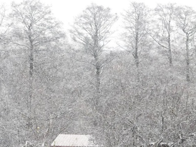 Silny mróz i zamiecie śnieżne. IMGW ostrzega przed najbliższymi godzinami