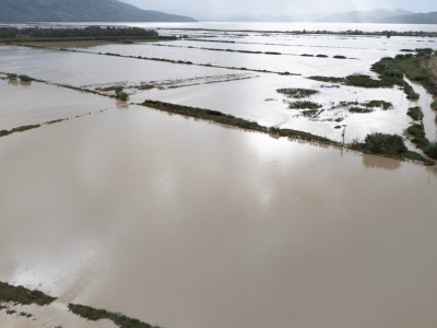 Powódź w Albanii. Jedna osoba nie żyje, setki zwierząt utonęło