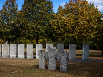 Ekologia. Bez. Ogródek. Drzewa na cmentarzach i we wspomnieniach