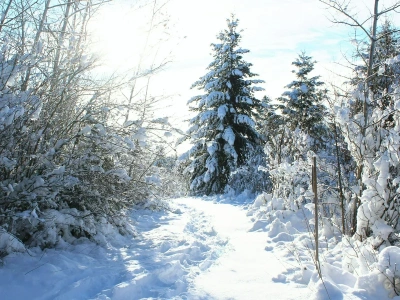 Pogoda w grudniu poważnie zaskoczy! Nowa analiza synoptyka. „Wystrzał” temperatury!