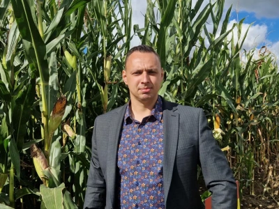 Sprawdzili 35 odmian kukurydzy. Które najlepiej poradziły sobie w trudnych warunkach?