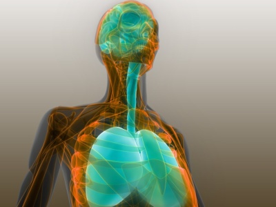 Jak smog wpływa na zdrowie i organizm człowieka?