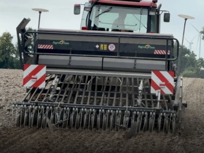 Siać jeszcze pszenicę ozimą? Kiedy termin siewu przewódki?